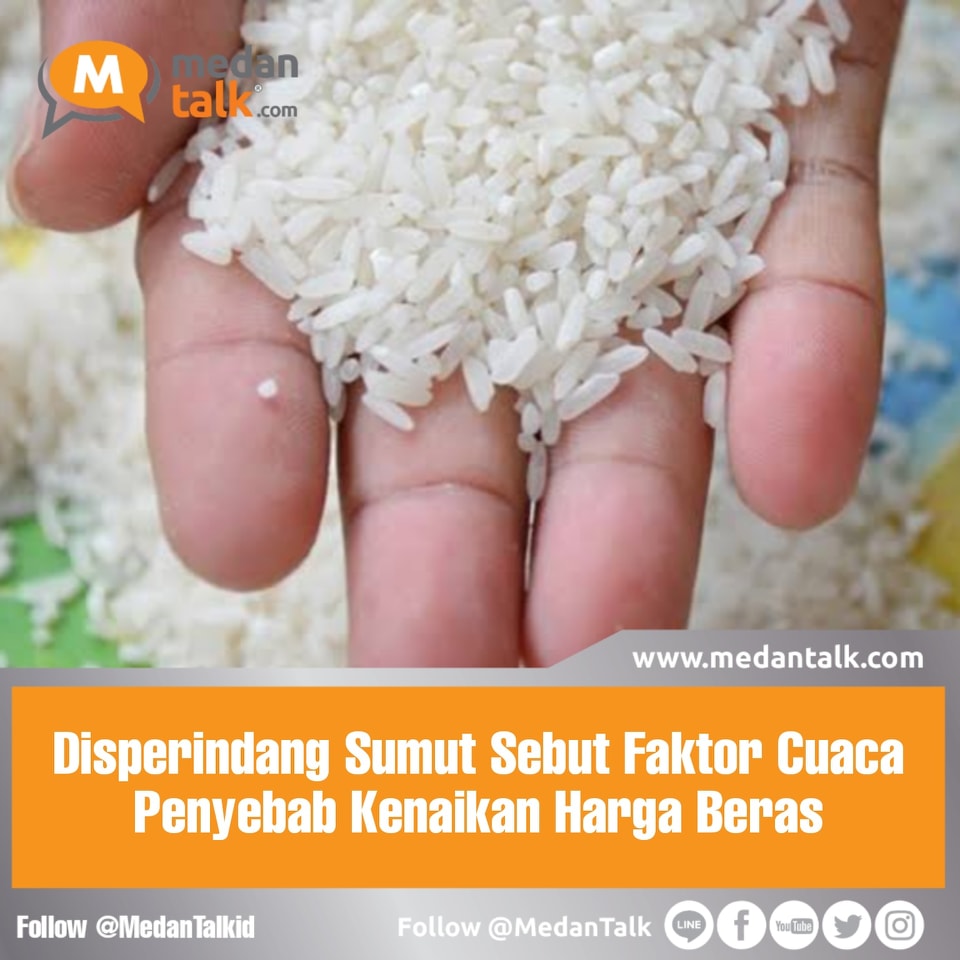 Disperindang Sumut Sebut Faktor Cuaca Penyebab Kenaikan Harga Beras

Dinas Perindustrian dan Perdagangan (Disperindag) Provinsi Sumatera Utara menyebutkan faktor cuaca yang kurang mendukung menjadi penyebab kenaikan harga beras di daerah itu dalam dua bulan terakhir.

Kepala Seksi Pengendalian Barang Pokok Harga dan Promosi (PBPHP) Disperindag Sumut, Iskandar Zulkarnaen di Medan, Kamis, mengatakan kenaikan tersebut karena cuaca hujan dan mendung  yang melanda di sejumlah kabupaten/kota Sumut, sehingga membuat para petani kesulitan menjemur gabah hasil panen.

"Terus terang, stok kita memang berkurang sebab pada awal Januari di beberapa kabupaten/kota menghadapi cuaca hujan dan mendung, jadi panen berlangsung tapi tidak bisa dijemur karena hujan terus+menerus," ujarnya.

Iskandar menjelaskan kenaikan ini disebabkannya juga karena permintaan yang tinggi yang tidak sebanding dengan jumlah stok beras yang ada.

"Permintaannya tinggi, sementara stok kita memang berkurang," katanya.

Di sisi lain, Iskandar mengatakan menjelang hari besar keagamaan harga komoditas di Sumut akan mengalami kenaikan.

"Pastinya kita pantau, harga cabai, beras, minyak goreng, hampir rata-rata komoditas naik, biasalah rutin menjelang hari hari besar pasti naik," ujarnya.

Berdasar data Badan Pusat Statistik (BPS), sebanyak 147 kabupaten/kota di Indonesia mengalami kenaikan harga beras sejak awal Februari 2023.

Sumber: sumut.antaranews.com/amp/berita/520509/disperindang-sumut-sebut-faktor-cuaca-penyebab-kenaikan-harga-beras