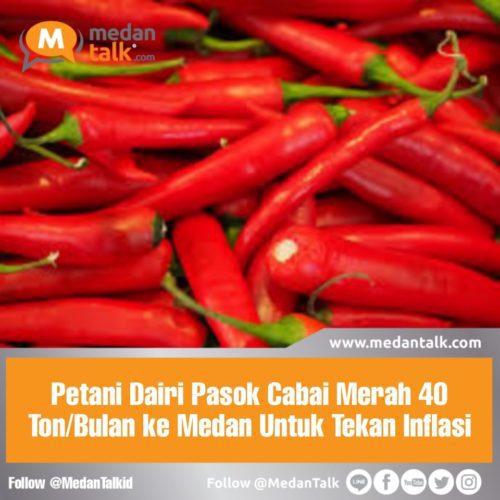 Petani Dairi Pasok Cabai Merah 40 Ton/Bulan ke Medan Untuk Tekan Inflasi

Para petani tergabung di Koperasi Aur Dairi Botanikal, Kabupaten Dairi, Sumut, memasok cabai merah sebanyak 40 ton/bulan ke Kota Medan guna menekan angka inflasi di bawah lima persen.

"Paling cepat bulan Mei 2023, terealisasi cabai merah dari petani Dairi sebanyak 10 ton/pekan mulai masuk ke Medan," terang Dirut Perumda Pasar, Suwarno di Medan, Sumut, Jumat.

Hal ini, lanjut dia, merupakan realisasi dari kerja sama antardaerah (KAD) penghasil produk hortikultura Pemkab Dairi dan Pemkot Medan yang direncanakan tahun lalu.

Selama ini komoditi cabai merah, cabai rawit dan bawang merah adalah penyumbang inflasi terbesar sekitar 20 persen di Sumatera Utara berasal dari Kota Medan.

Data Dinas Ketahanan Pangan Kota Medan di Desember 2022 mencatat kebutuhan cabai merah sekitar 454 ton/bulan, cabai rawit 146 ton/bulan dan bawang merah 340 ton/bulan.

"Mau kita begitu MoU, kita langsung ambil. Tapi petani dan pemerintah daerah enggak mau. Jadi ada masa tanam empat bulan," kata Suwarno yang pimpinan salah satu BUMD milik Pemkot Medan ini.

Sumber: sumut.antaranews.com/amp/berita/519864/petani-dairi-pasok-cabai-merah-40-ton-bulan-ke-medan-tekan-inflasi