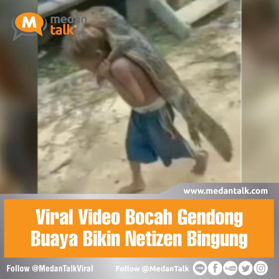Viral Video Bocah Gendong Buaya Bikin Netizen Bingung
Sebuah video viral membuat heboh media sosial, terlihat ada buaya yang digendong oleh seorang anak kecil. Hewan berdarah dingin tersebut tampak terdiam serta tak berontak.
Namun berbeda jika berada di hadapan bocah bertelanjang dada yang ada didalam video viral diunggah oleh akun Twitter @FunnyVideosID. Buaya itu terdiam dan pasrah.
Buaya tersebut terlihat tak berdaya ketika digendong bocah bercelana biru itu. Si bocah menggendong hewan buas itu layaknya boneka.
Unggahan video viral tersebut langsung membuat netizen heboh dan memberikan tanggapan beragam komentar.
"Mana lemes bet lagi buayanya," ungkap netizen di kolom komentar.
"Itu bocil bukan sembarangan bocil, dia suhu min," tulis netizen lainnya.
"Kayak gendong bocah mau diajak jajan, anteng bener," ungkap netizen lain.
"Cara gendongnya lucu," tulis salah satu netizen.
"Si bocah santai banget. Buayanya yang panik: Mau diapain gw nih," pungkas netizen.
Sumber: ponorogo.inews.id/amp/read/260985/video-viral-bocah-gendong-buaya-bikin-netizen-bingung