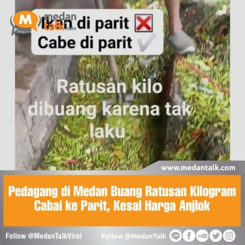 Pedagang di Medan Buang Ratusan Kilogram Cabai ke Parit, Kesal Harga Anjlok