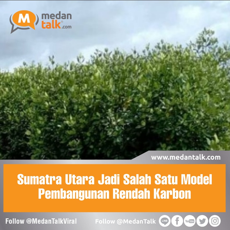 Kementerian Perencanaan Pembangunan Nasional (PPN)/Bappenas canangkan tiga provinsi di Indonesia menjadi model