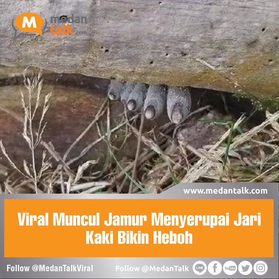 Viral posting-an di akun Twitter @jellypastaa yang menampilkan foto jamur menyerupai jari