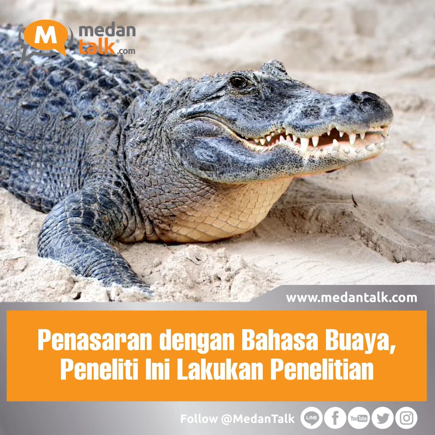 Kalau menurut kamu, Gimana ya Suara Buaya ? Penasaran dengan Bahasa Buaya,