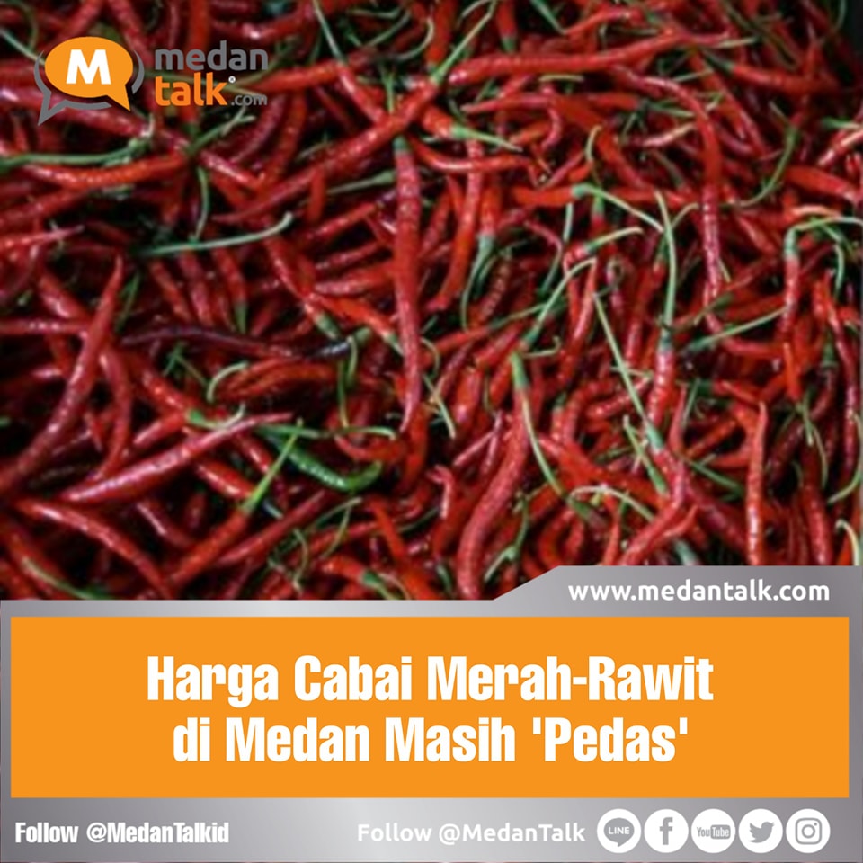 Harga cabai merah di Kota Medan masih di atas Rp 40 ribu