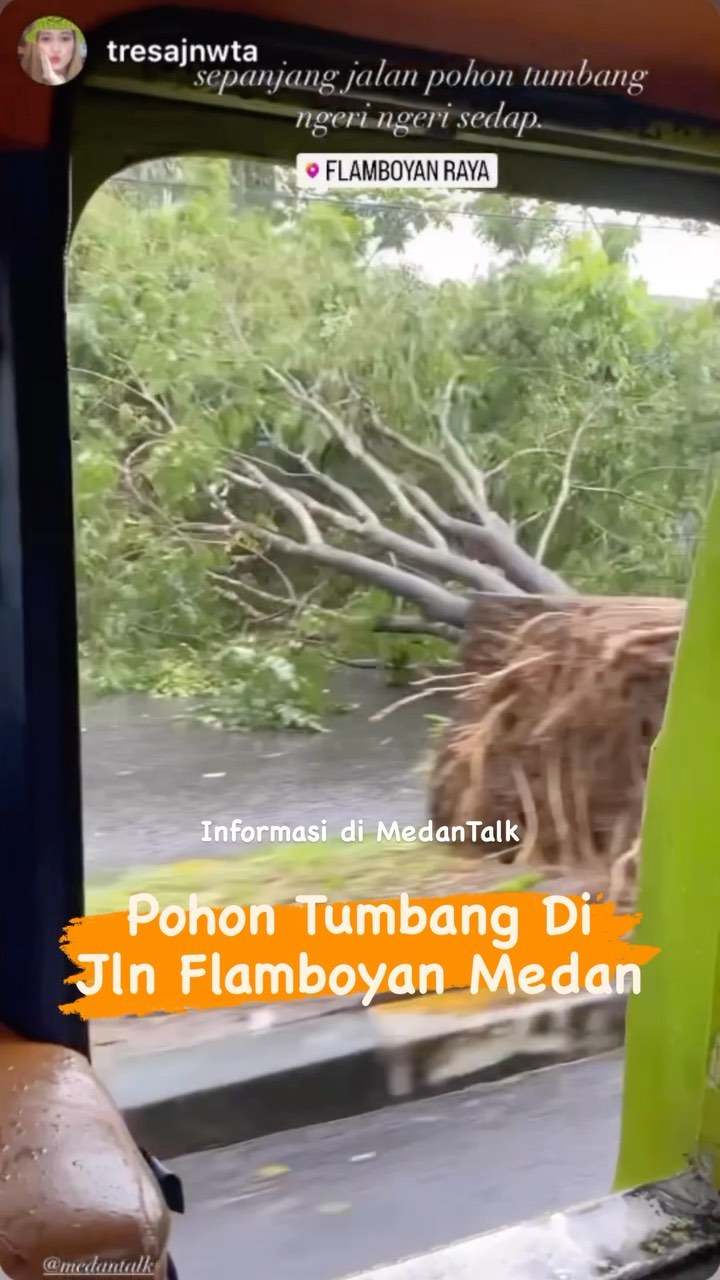 Hujan deras yang mengguyur Medan maulai siang 14/09/2023, yang mengakibatkan satu pohon tumbang siang dijalan Flamboyan Medan.
◇ Selalu pantau STORY dan FOLLOW @medantalk utk info kejadian/kecelakaan/lalulintas terkini yang blm tentu di post ke feed dan utk bisa ikut komentar.
♡ Silakan share (cerita/info lalulintas) ke story mention @medantalk dan juga @medantalkviral @medanku @medantalkid utk admin seleksi dan repost. Ingat tulis lokasi & kapan kejadian, keterangan kejadian dgn jelas dan lengkap di story agar mudah di mengerti saat repost. Pastikan juga akun anda tidak dikunci agar kami bisa lihat dan repost. Terima kasih