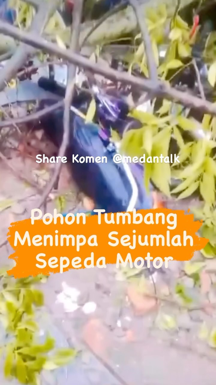 Pohon Tumbang menimpa sejumlah sepeda motor Masyarakat dihimbau untuk berwaspada dijalan Menurut