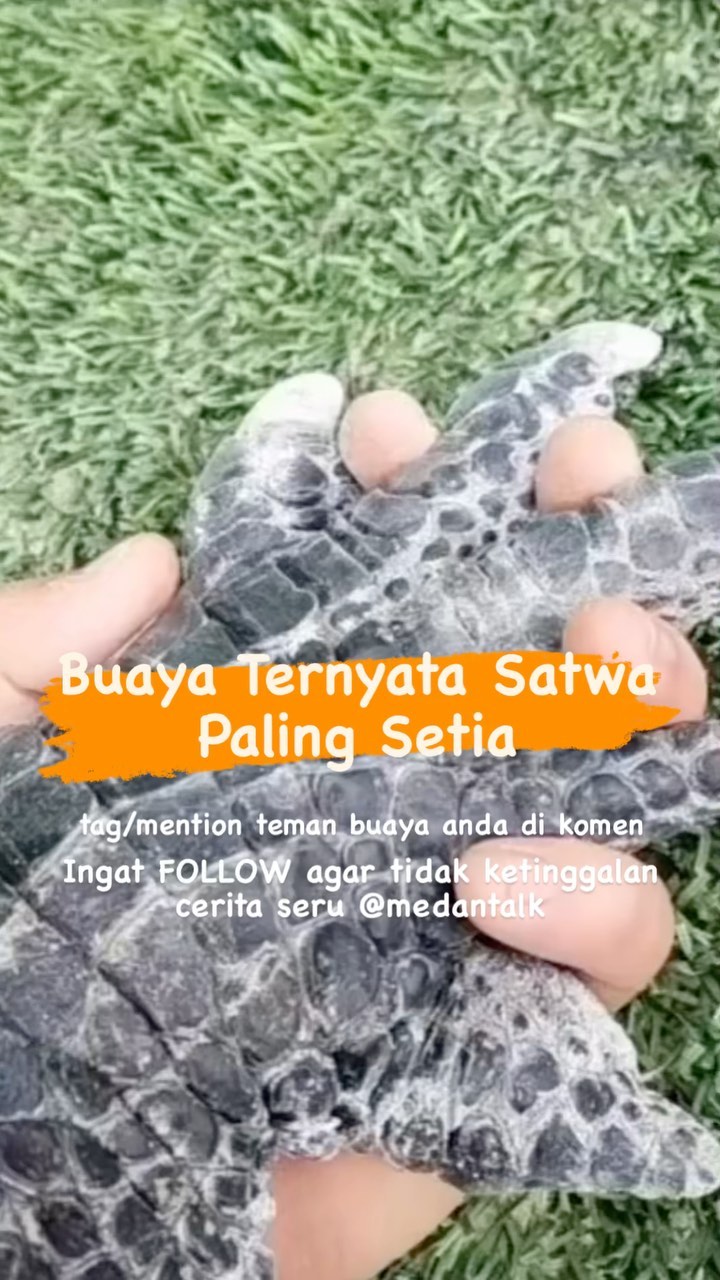 Buaya Ternyata Satwa Paling Setia Buaya kerap jadi bahan lelucon atau ejekan