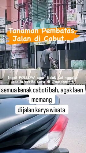 Tanaman Pembatas Jalan Medan di cabut oleh pria ini, apa mungkin dia