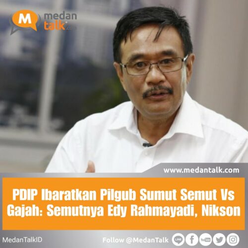 PDIP Ibaratkan Pilgub Sumut Semut Vs Gajah: Semutnya Edy Rahmayadi, Nikson Ketua