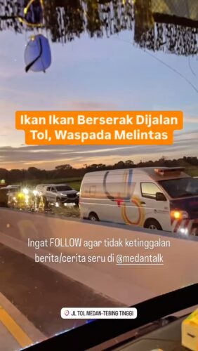 Truk angkut ikan terbalik di Jalan Tol Medan Tebing Tinggi, ikan berserak