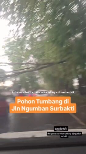 hujan deras dan angin kencang sore ini 03/05/2025, pohon tumbang dijalan Ngumban