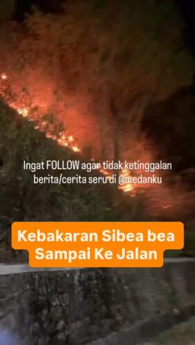 Kebakaran Sibea bea sampai ke jalan
Waspada yang melintas
Menurut pengirim video kejadian pada malam hari 19/07/25 di daerah sibea bea Samosir Sumut
Cek video lainnya @medanku
◇ Selalu pantau STORY dan FOLLOW @medantalk utk info kejadian/kecelakaan/lalulintas terkini yang blm tentu di post ke feed dan utk bisa ikut komentar. Ingat juga Aktifkan notifikasi agar tidak ketinggalan breaking news/story