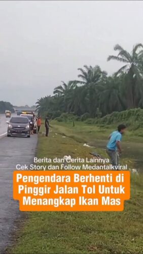 Pengendara berhenti di pinggir jalan toll untuk menangkap Ikan Mas. Tampak seorang pengendara menunjukkan hasil tangkapannya.
Ada yang tau di jalan Tol mana ini?
Sumber Aan Sitepu
Utk Berita & video Viral follow @medantalkviral